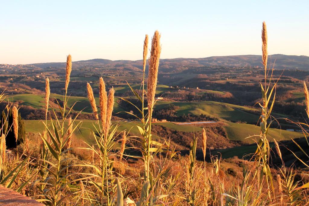 Agriturismo Le Docce 카스텔피오렌티노 외부 사진
